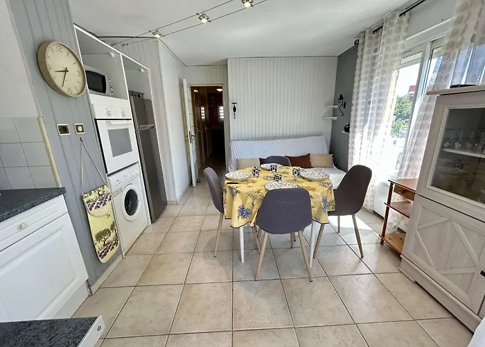 Appt T2 - 4 Couchages Cap D'agde Ct300-145 Appartamento