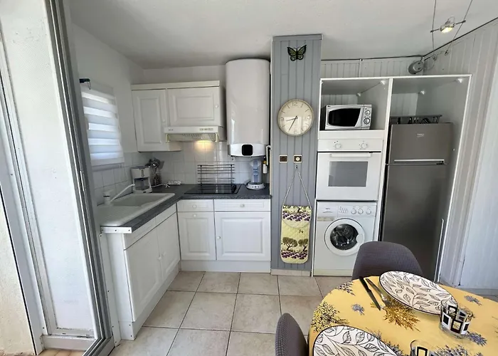 Appt T2 - 4 Couchages Cap D'agde Ct300-145 Appartamento